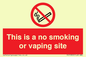 PS15305: This is a no smoking or vaping site