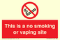 PS15305: This is a no smoking or vaping site