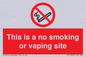 PS15305: This is a no smoking or vaping site