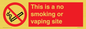 PS15305: This is a no smoking or vaping site