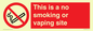 PS15305: This is a no smoking or vaping site