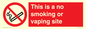 PS15305: This is a no smoking or vaping site