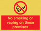 PS15307: No smoking or vaping on these premises