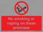 PS15307: No smoking or vaping on these premises