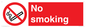 PS1: no smoking