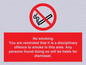 PS7371: No smoking you are reminded that it is a disciplinary offence to smoke in this area. Any persons found doing so will be liable for dismissal.