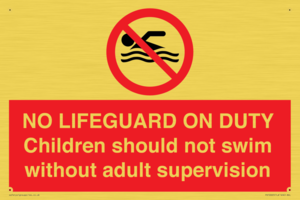 PV10065: NO LIFEGUARD ON DUTY
