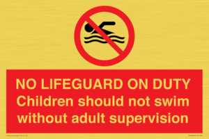 PV10065: NO LIFEGUARD ON DUTY