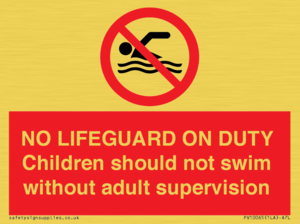 PV10065: NO LIFEGUARD ON DUTY