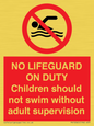 PV10065: NO LIFEGUARD ON DUTY