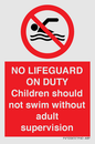 PV10065: NO LIFEGUARD ON DUTY