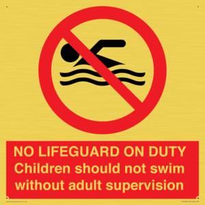 PV10065: NO LIFEGUARD ON DUTY