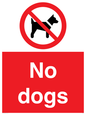 PV1023: no dogs