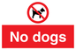 PV1023: no dogs