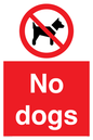 PV1023: no dogs