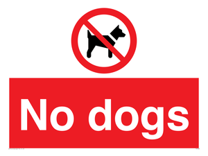 PV1023: no dogs