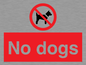 PV1023: no dogs