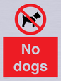 PV1023: no dogs