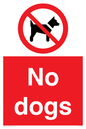 PV1023: no dogs