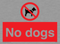 PV1023: no dogs