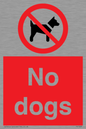 PV1023: no dogs