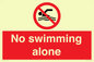 PV10242: No swimming alone