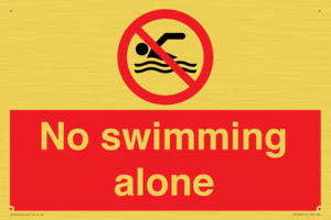 PV10242: No swimming alone