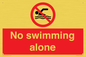 PV10242: No swimming alone