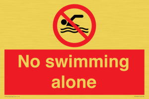 PV10242: No swimming alone