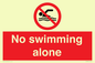 PV10242: No swimming alone