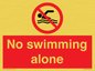 PV10242: No swimming alone