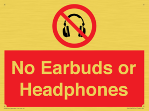 PV10565: No Earbuds or Headphones