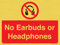 PV10565: No Earbuds or Headphones