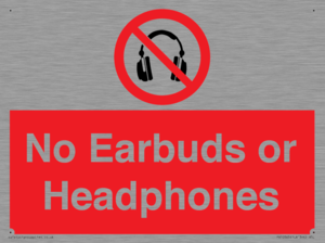 PV10565: No Earbuds or Headphones