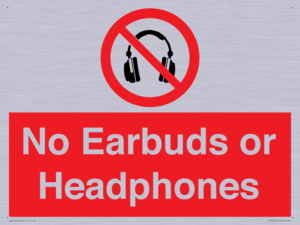PV10565: No Earbuds or Headphones