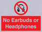 PV10565: No Earbuds or Headphones