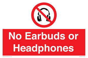 PV10565: No Earbuds or Headphones