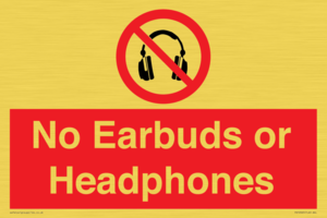 PV10565: No Earbuds or Headphones
