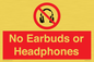 PV10565: No Earbuds or Headphones