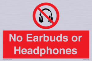 PV10565: No Earbuds or Headphones