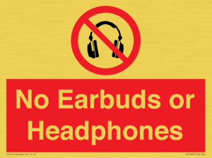 PV10565: No Earbuds or Headphones