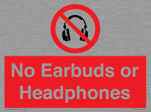 PV10565: No Earbuds or Headphones