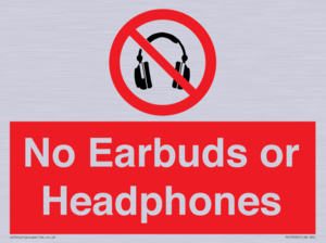 PV10565: No Earbuds or Headphones