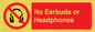 PV10565: No Earbuds or Headphones