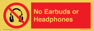 PV10565: No Earbuds or Headphones