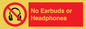 PV10565: No Earbuds or Headphones