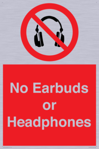 PV10565: No Earbuds or Headphones