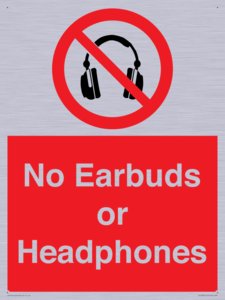 PV10565: No Earbuds or Headphones