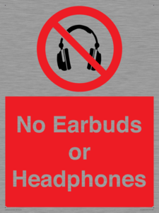 PV10565: No Earbuds or Headphones