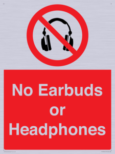 PV10565: No Earbuds or Headphones